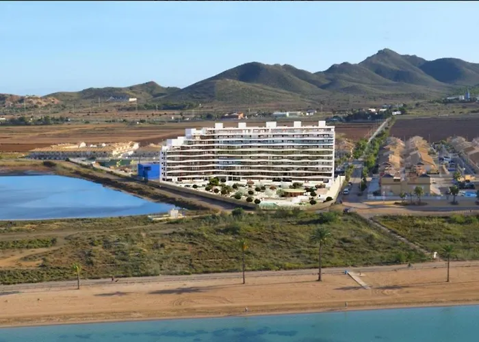 Vista De Flamencos